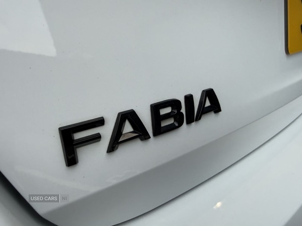 Used Skoda Fabia 2023 for sale - 76667618: Photo 15