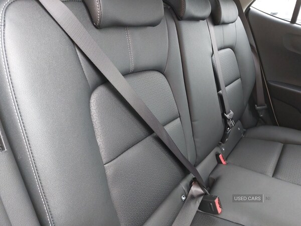 Used Kia Picanto 2025 for sale - 76308771: Photo 24