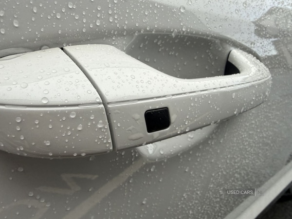 Used Kia Niro 2025 for sale - 77396936: Photo 15