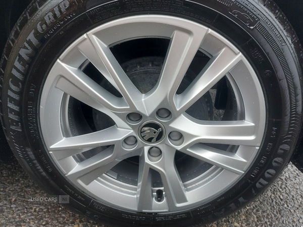 Used Skoda Fabia 2024 for sale - 76458202: Photo 16