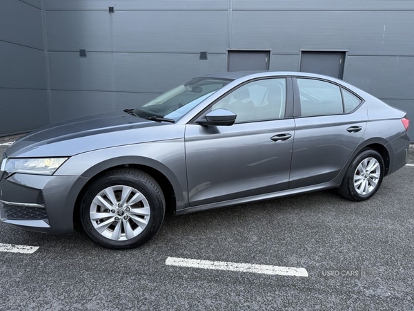 Used Skoda Octavia 2024 for sale - 76914284: Photo 5