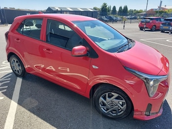 Used Kia Picanto 2025 for sale - 75280913: Photo