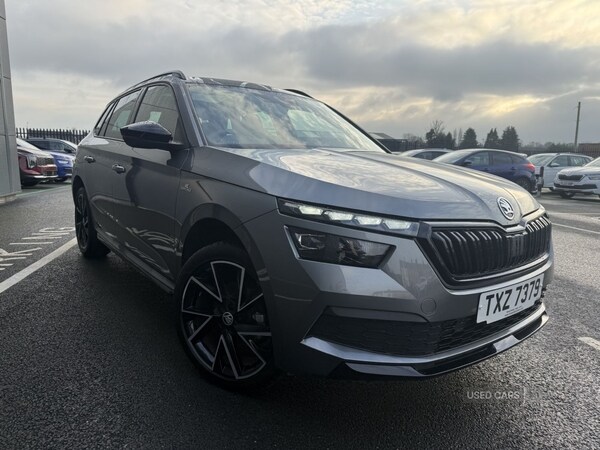 Used Skoda Kamiq 2024 for sale - 77050488: Photo 3