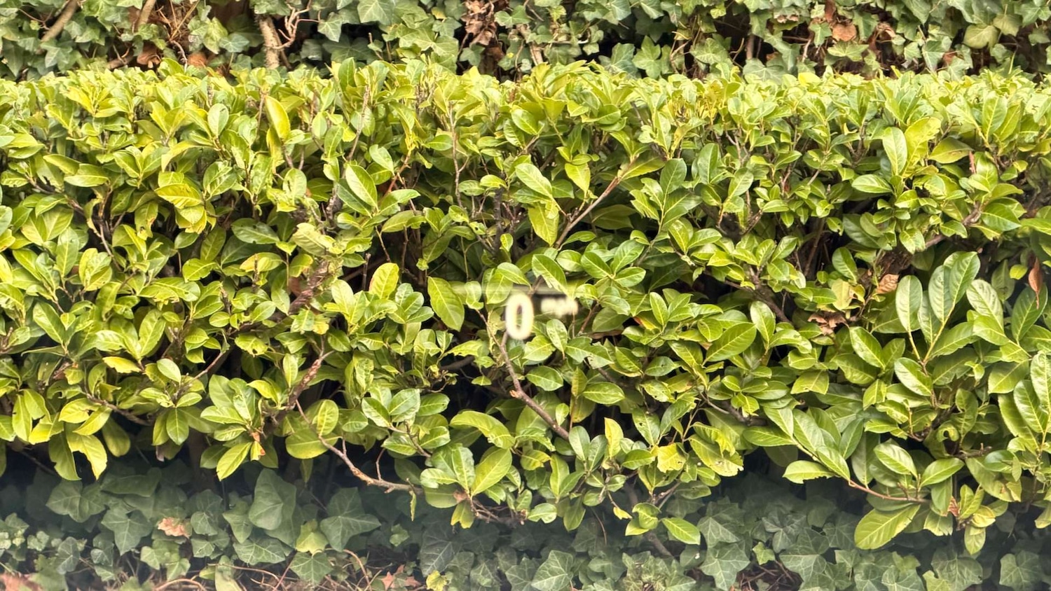 Used BMW 5 Series 2022 for sale - 77200735: Photo 42