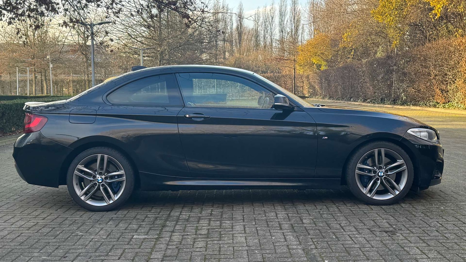 Used BMW 2 Series 2016 for sale - 76829794: Photo 11