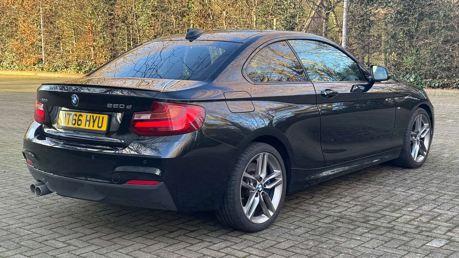 Used BMW 2 Series 2016 for sale - 76829794: Photo 13