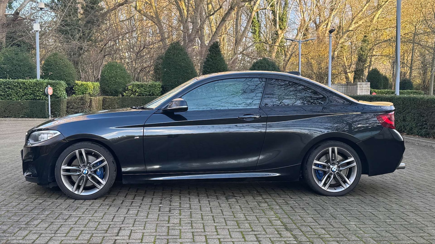 Used BMW 2 Series 2016 for sale - 76829794: Photo 7