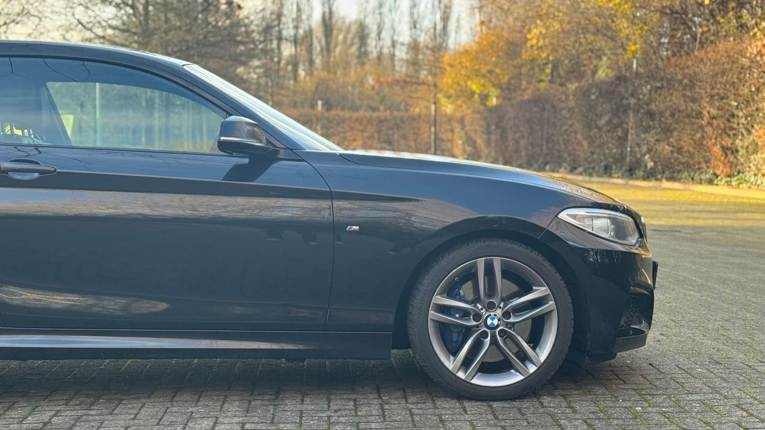 Used BMW 2 Series 2016 for sale - 76829794: Photo 9