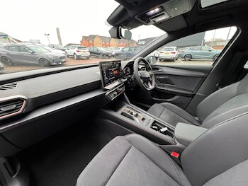 Used Cupra Leon undefined for sale - 77225059: Photo