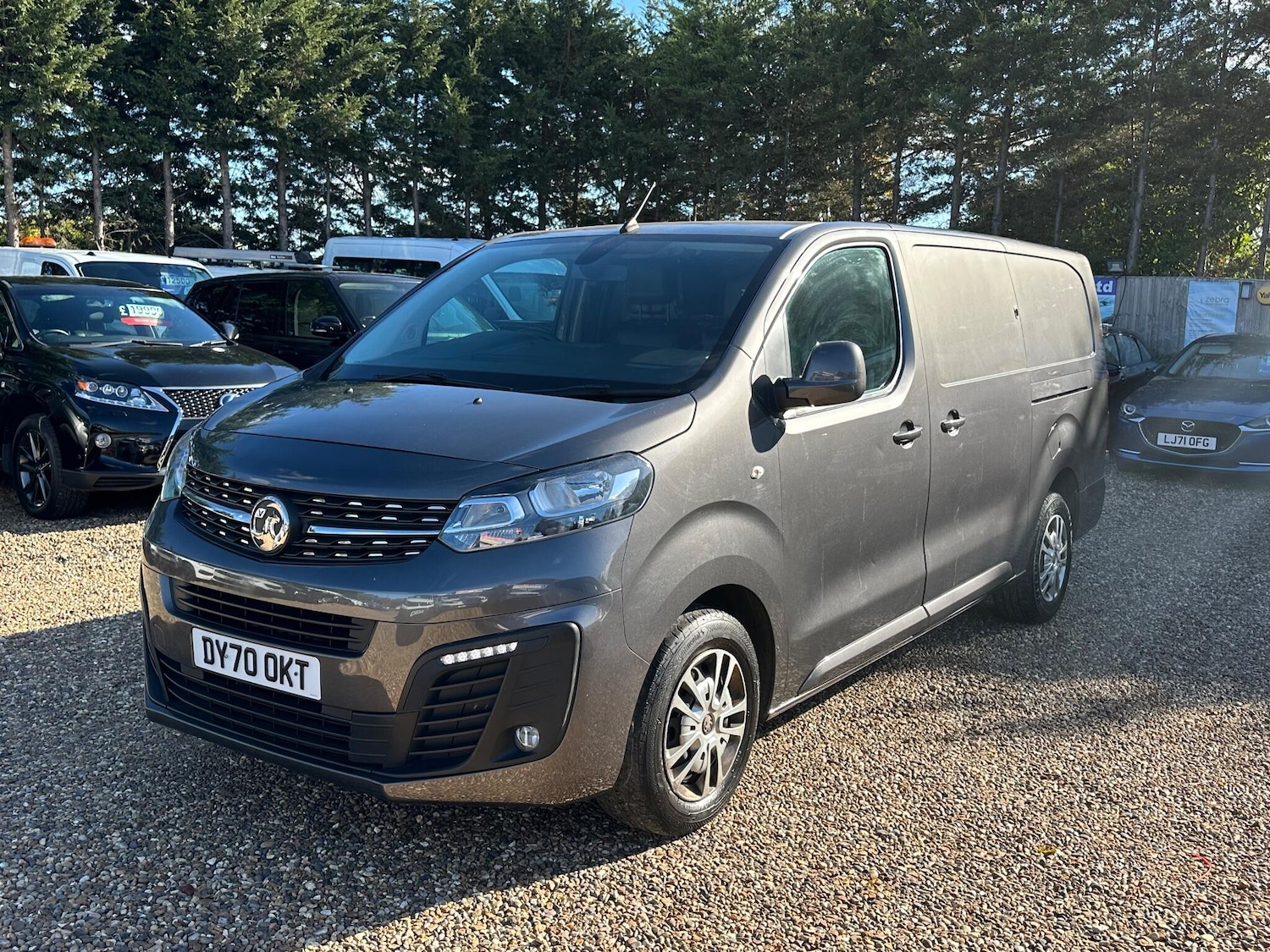Used Vauxhall Vivaro 2020 for sale - 76307629: Photo 1