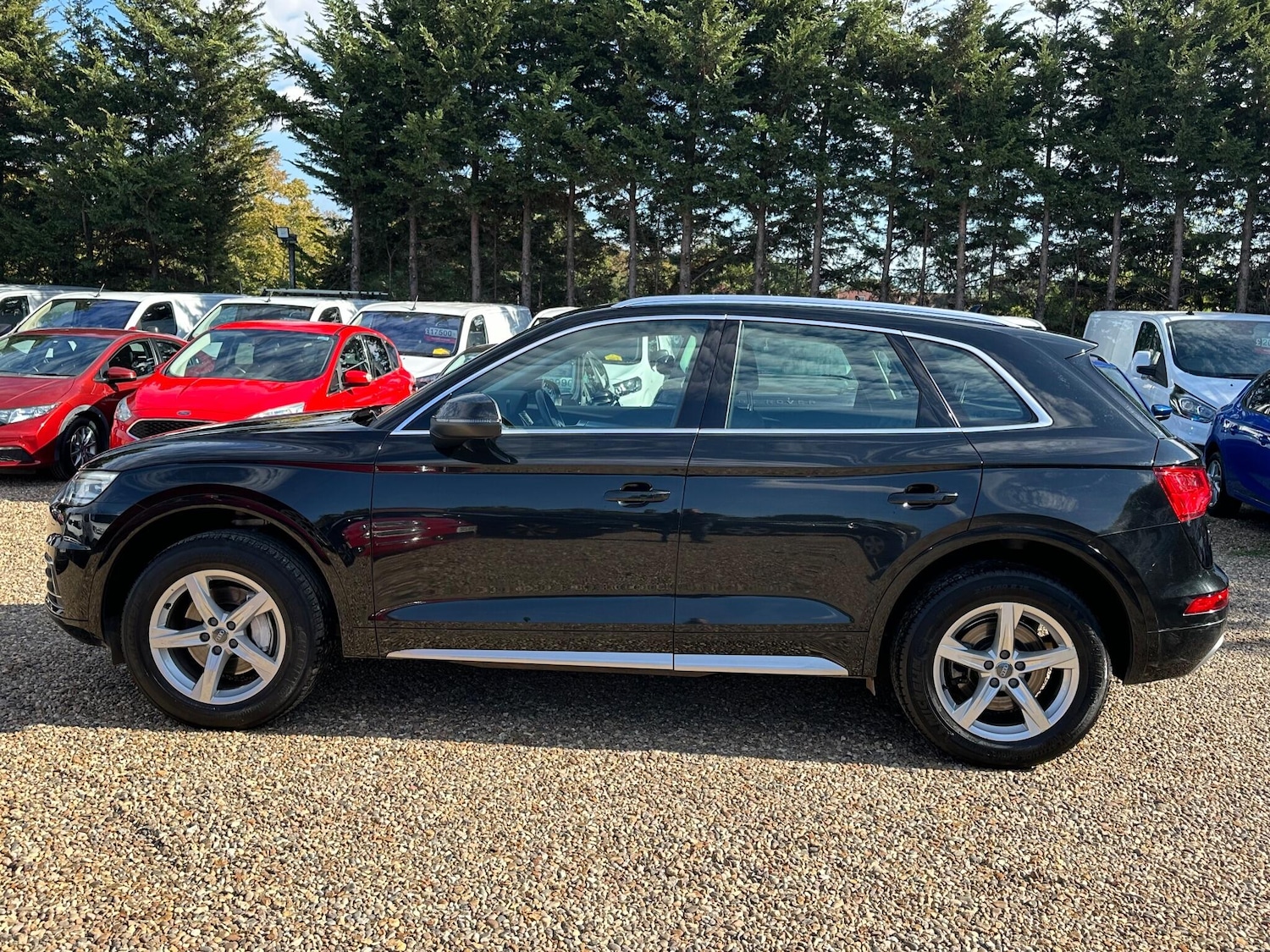 Used Audi Q5 2019 for sale - 76108808: Photo 2
