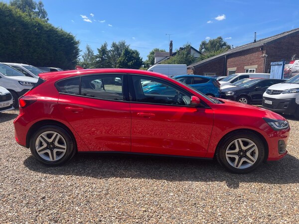 Used Ford Focus 2022 for sale - 75127955: Photo 6