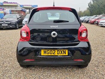 Used smart forfour 2019 for sale - 77753519: Photo