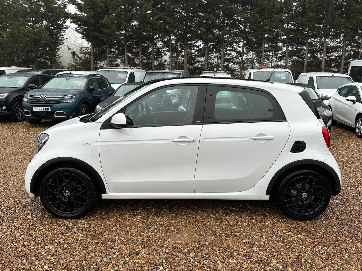 Used smart forfour 2017 for sale - 77130825: Photo 2