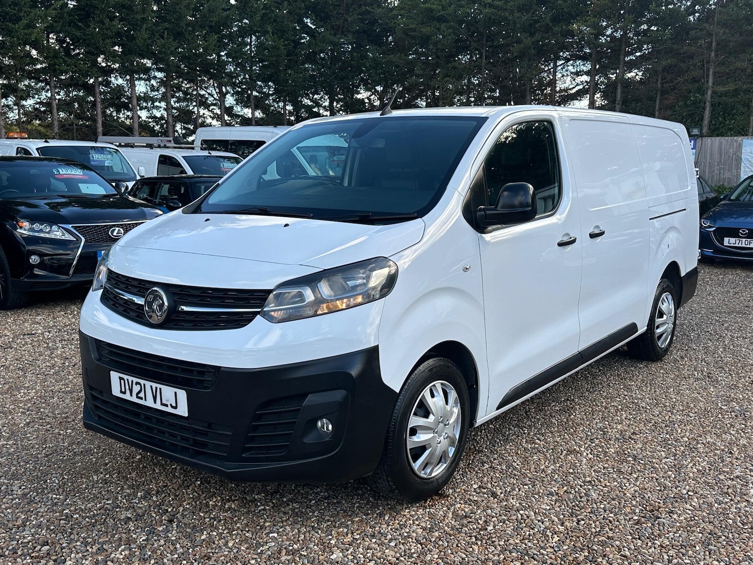 Used Vauxhall Vivaro 2021 for sale - 76771907: Photo 1