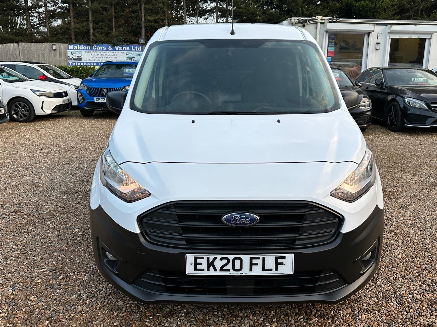 Used Ford Transit Connect for sale - 77825046: Photo 8