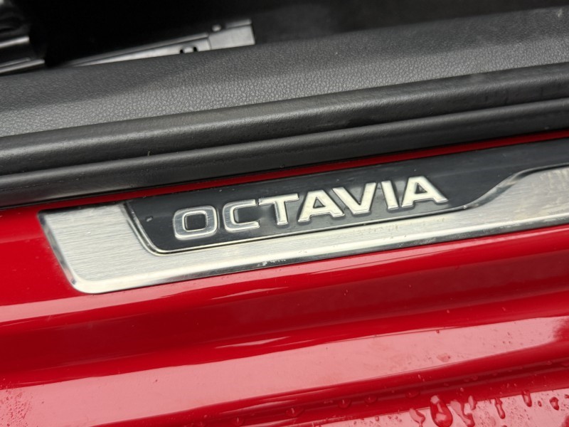Used Skoda Octavia 2025 for sale - 77474749: Photo 18