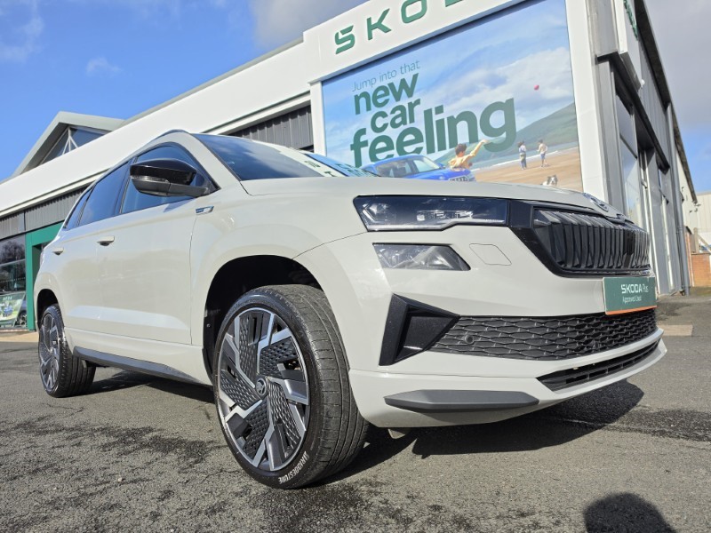Used Skoda Karoq 2022 for sale - 77918123: Photo 14