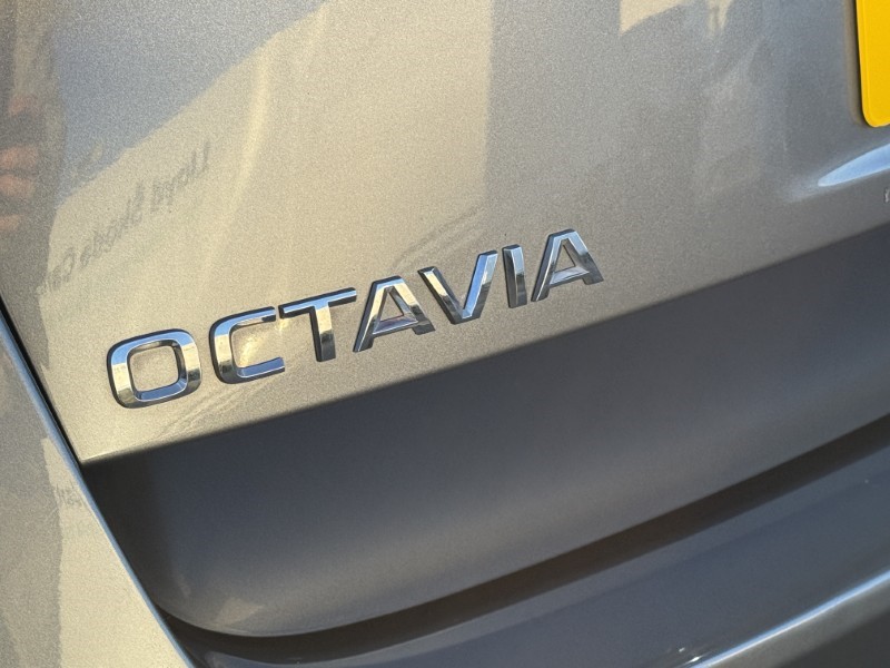 Used Skoda Octavia 2023 for sale - 78028131: Photo 40