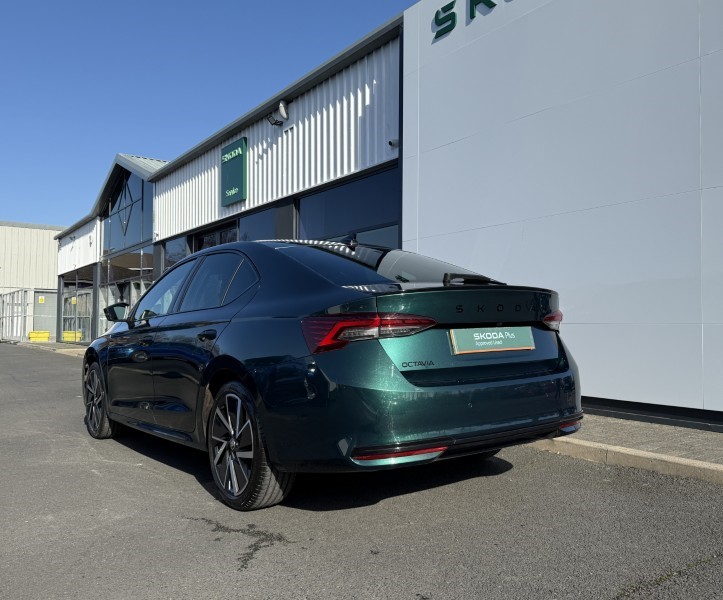 Used Skoda Octavia 2024 for sale - 77732699: Photo 3
