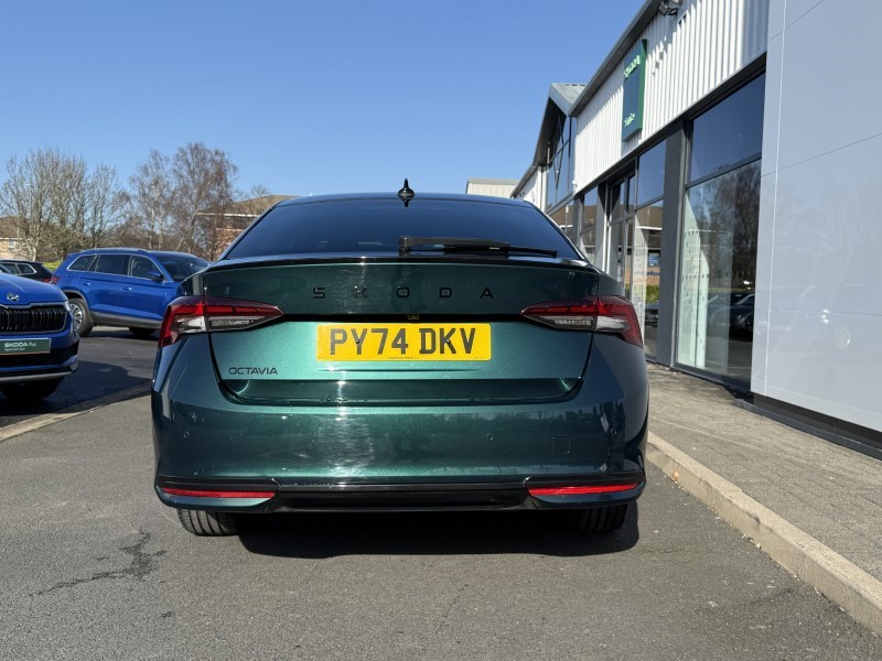 Used Skoda Octavia 2024 for sale - 77732699: Photo 6