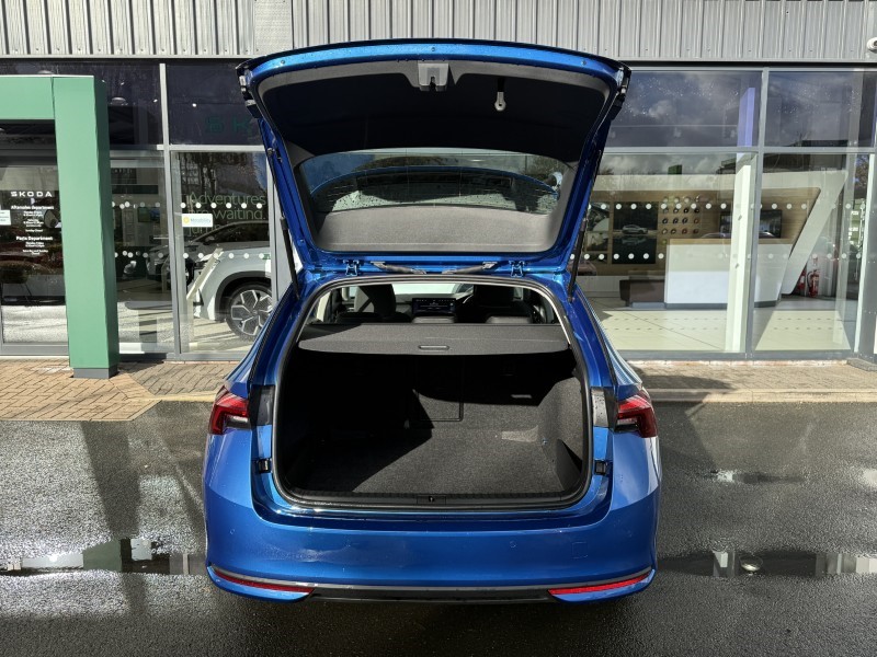 Used Skoda Octavia 2025 for sale - 76981825: Photo 12