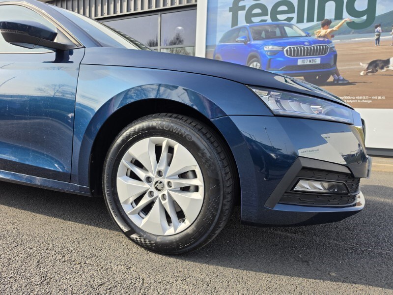 Used Skoda Octavia 2023 for sale - 77973634: Photo 12