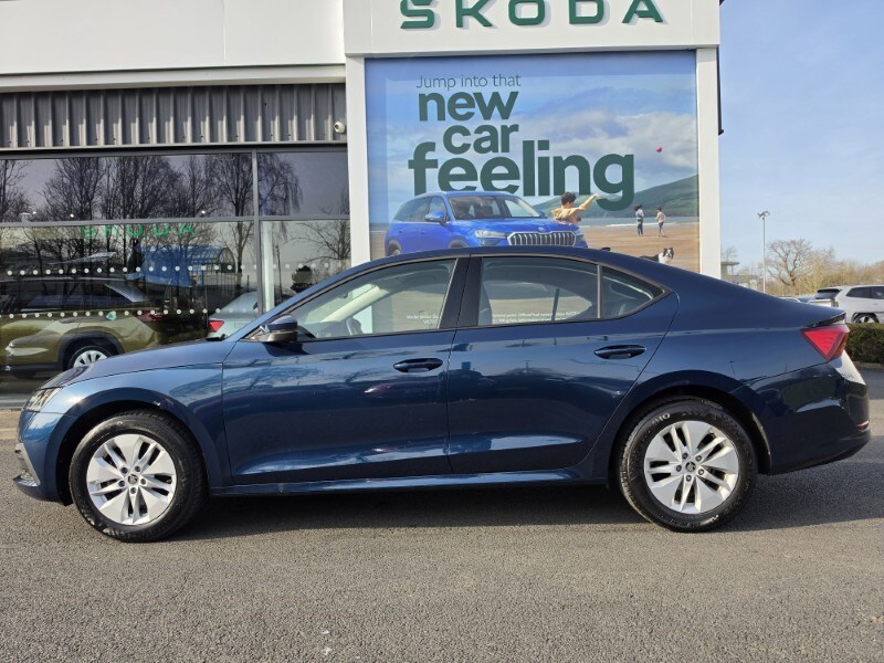 Used Skoda Octavia 2023 for sale - 77973634: Photo 13