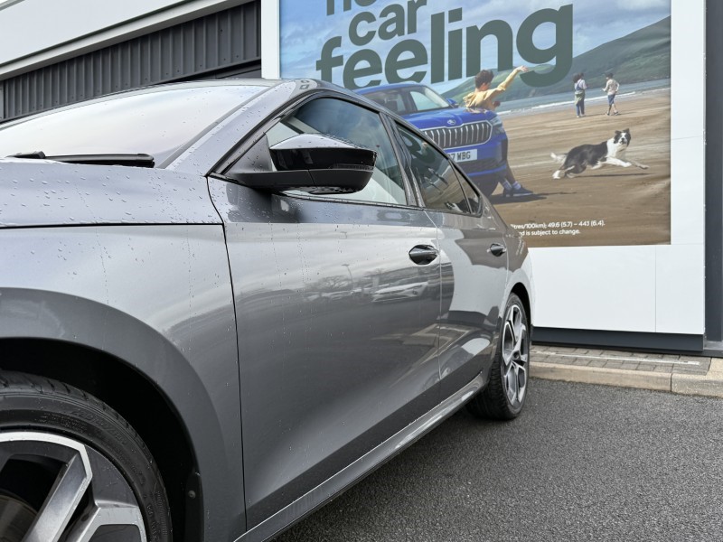 Used Skoda Octavia 2024 for sale - 77789157: Photo 15