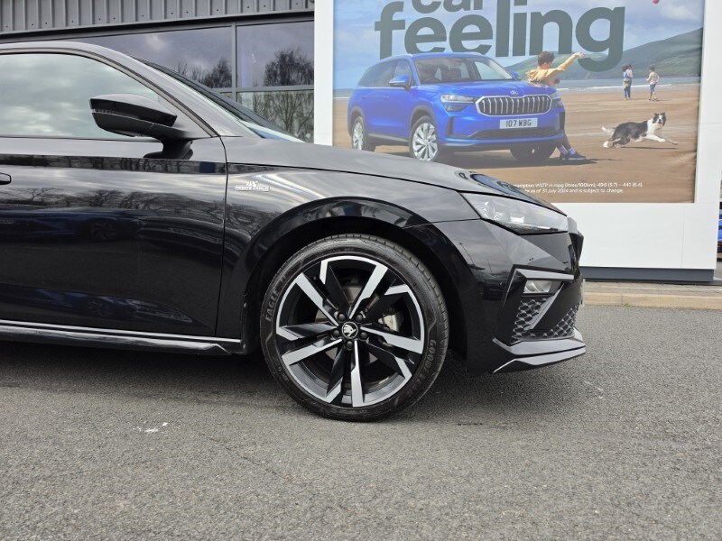 Used Skoda Scala 2025 for sale - 78176009: Photo 49