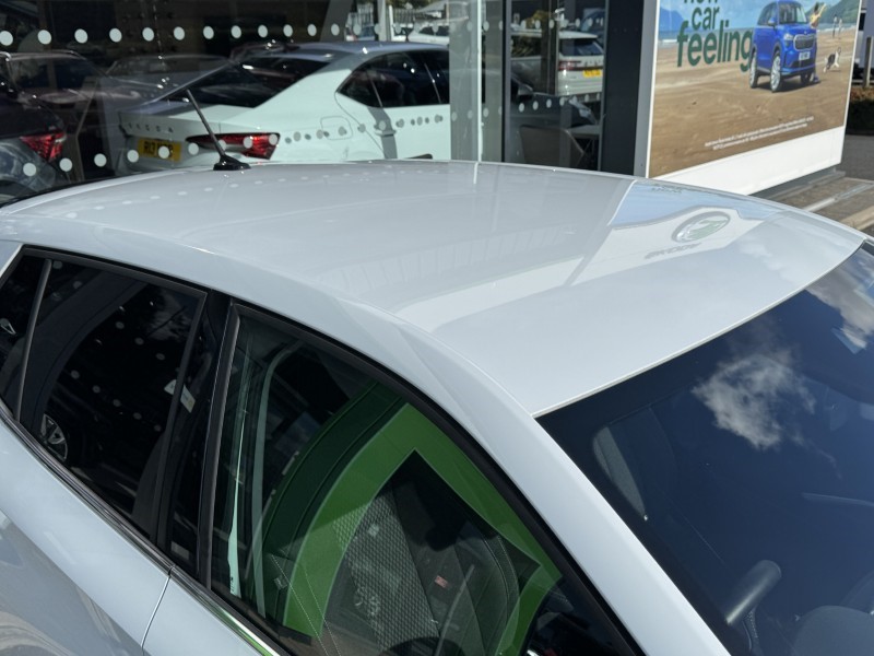 Used Skoda Fabia 2024 for sale - 76980841: Photo 48