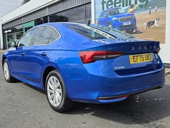 Used Skoda Octavia 2025 for sale - 79731809: Photo