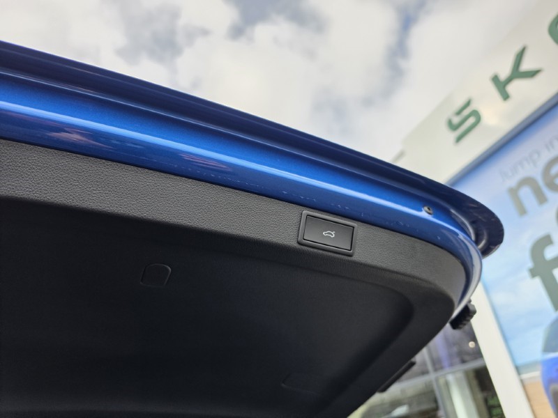 Used Skoda Octavia 2025 for sale - 77897217: Photo 18