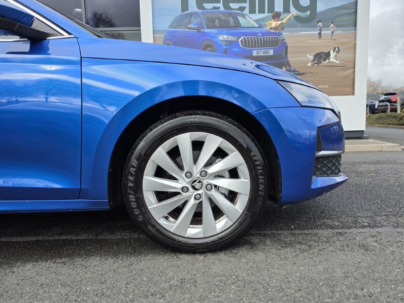 Used Skoda Octavia 2025 for sale - 77897217: Photo 9