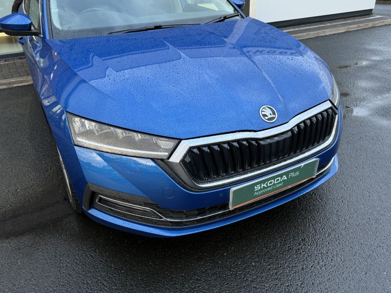 Used Skoda Octavia 2023 for sale - 76980943: Photo 41