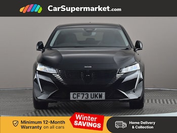 Used Peugeot 308 2023 for sale - 77211405: Photo