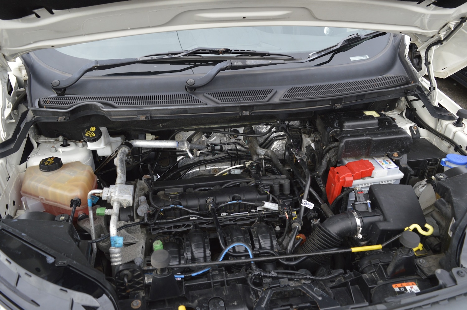 Used Ford Ecosport 2017 for sale - 77104103: Photo 19