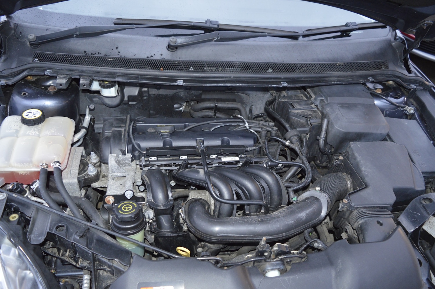 Used Ford Focus 2011 for sale - 77651519: Photo 20