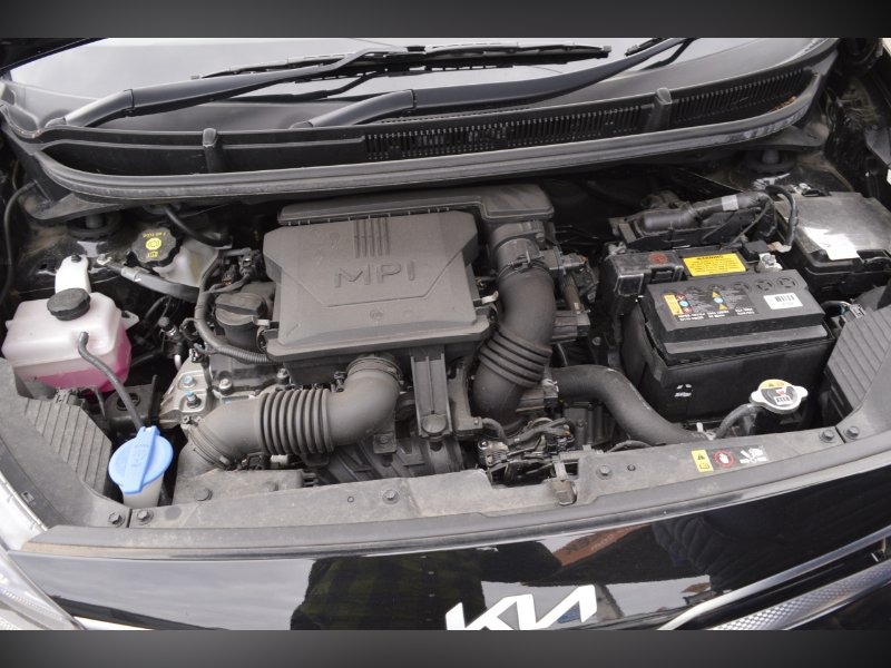 Used Kia Picanto 2022 for sale - 76736606: Photo 15