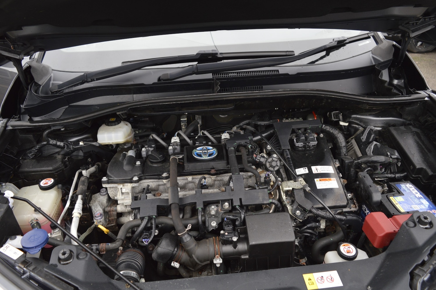 Used Toyota C-HR 2018 for sale - 76879609: Photo 22