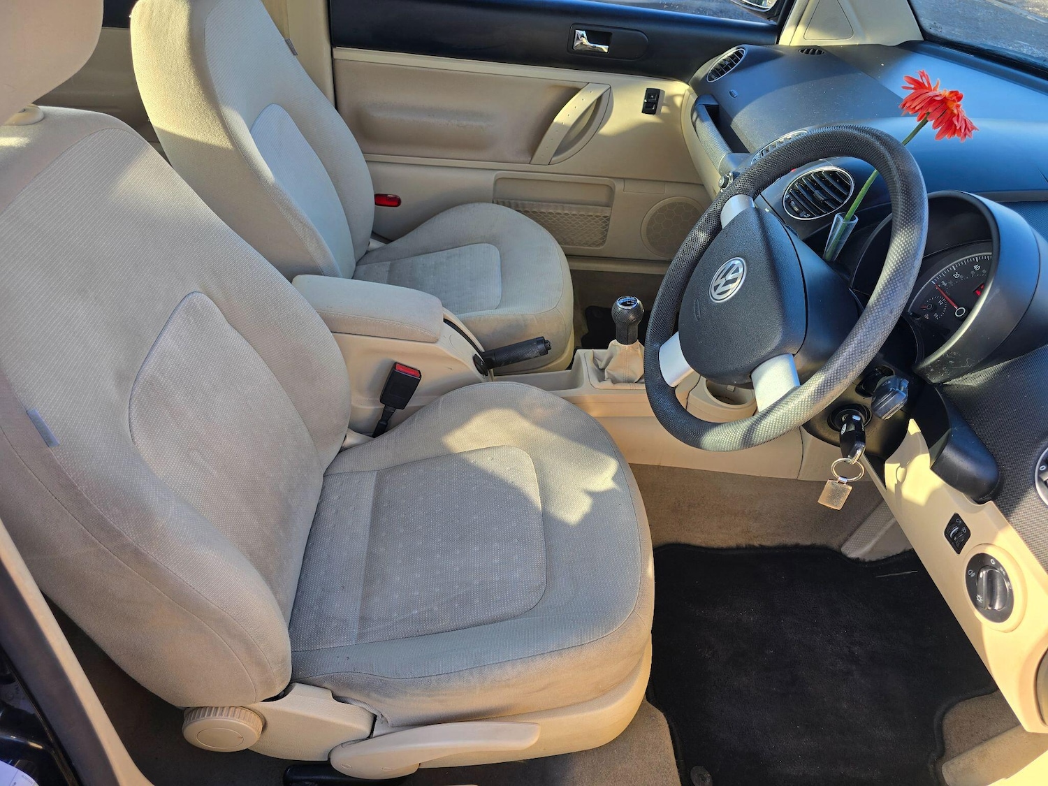 Used Volkswagen Beetle 2007 for sale - 77359075: Photo 10