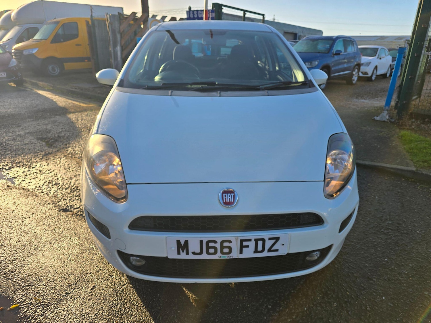 Used Fiat Punto 2016 for sale - 76786893: Photo 8