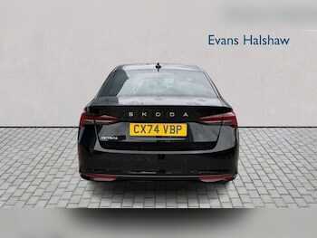 Used Skoda Octavia 2024 for sale - 78419715: Photo