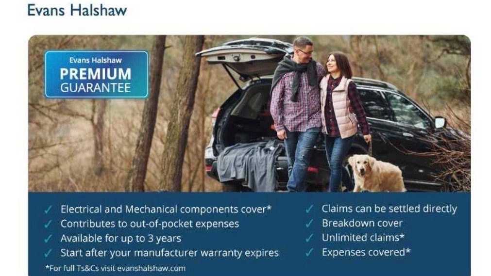 Used Peugeot 308 2023 for sale - 77772387: Photo 6