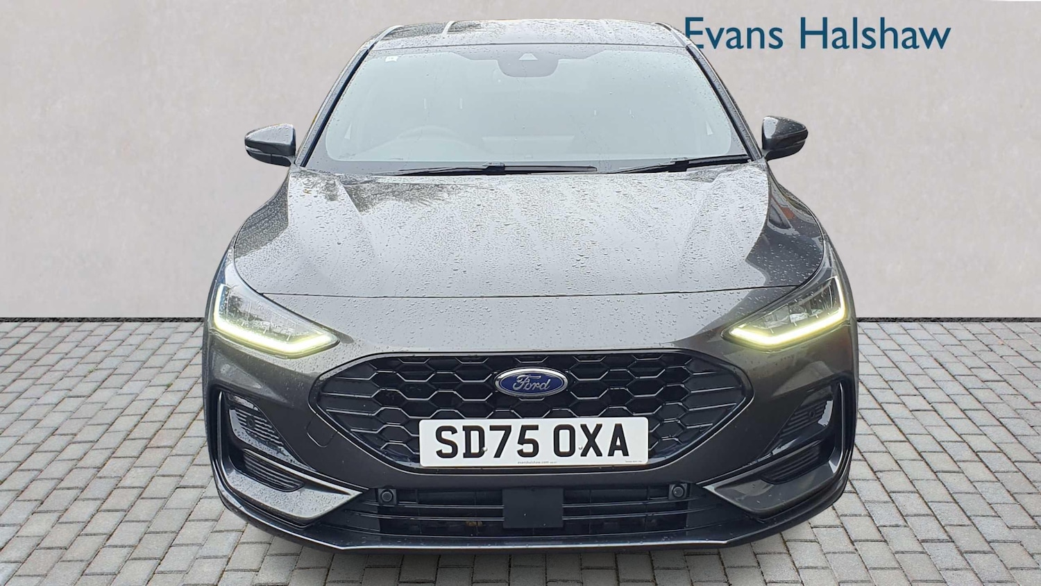 Used Ford Focus 2025 for sale - 77458443: Photo 4