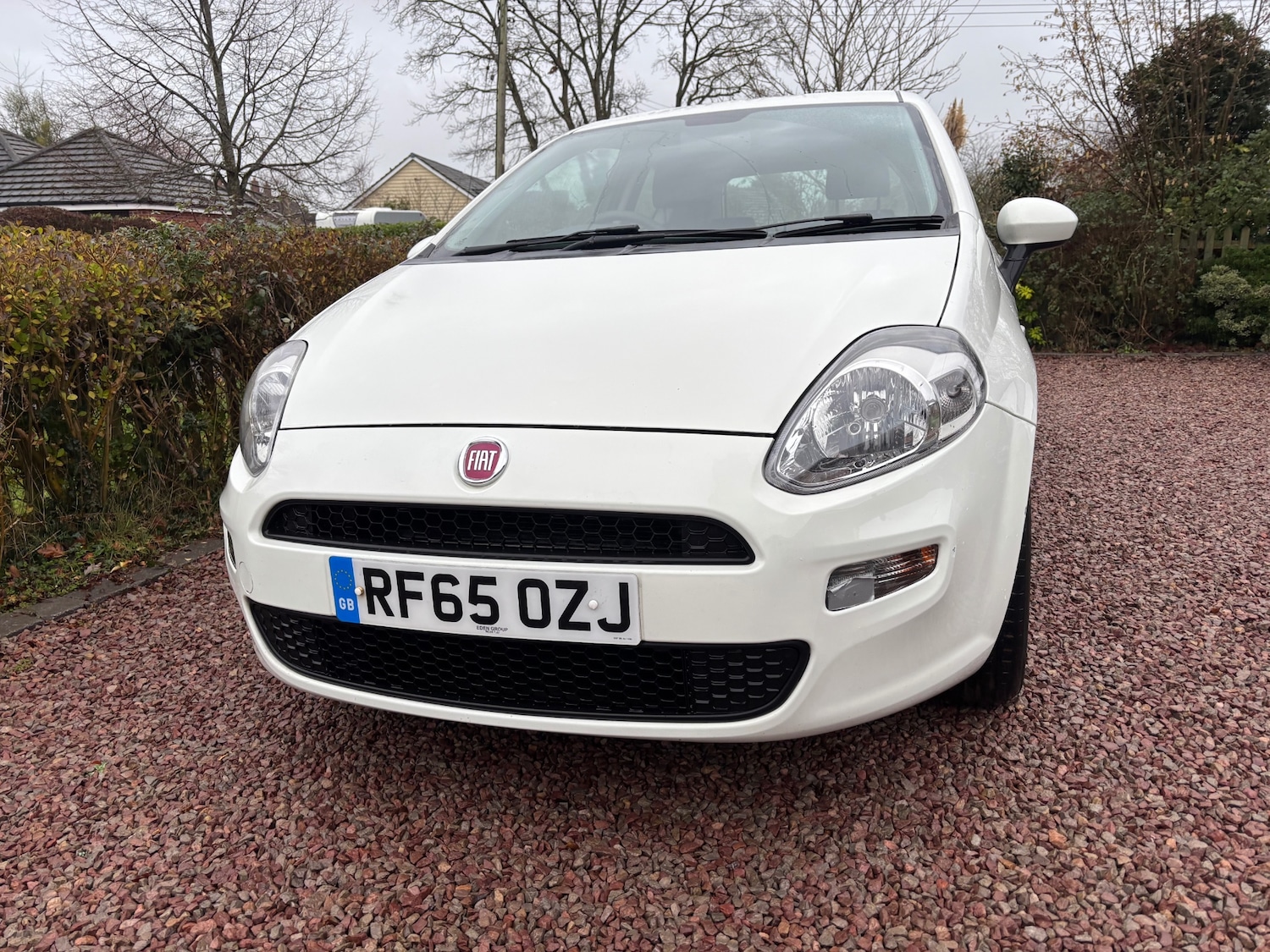 Used Fiat Punto 2015 for sale - 77113358: Photo 3