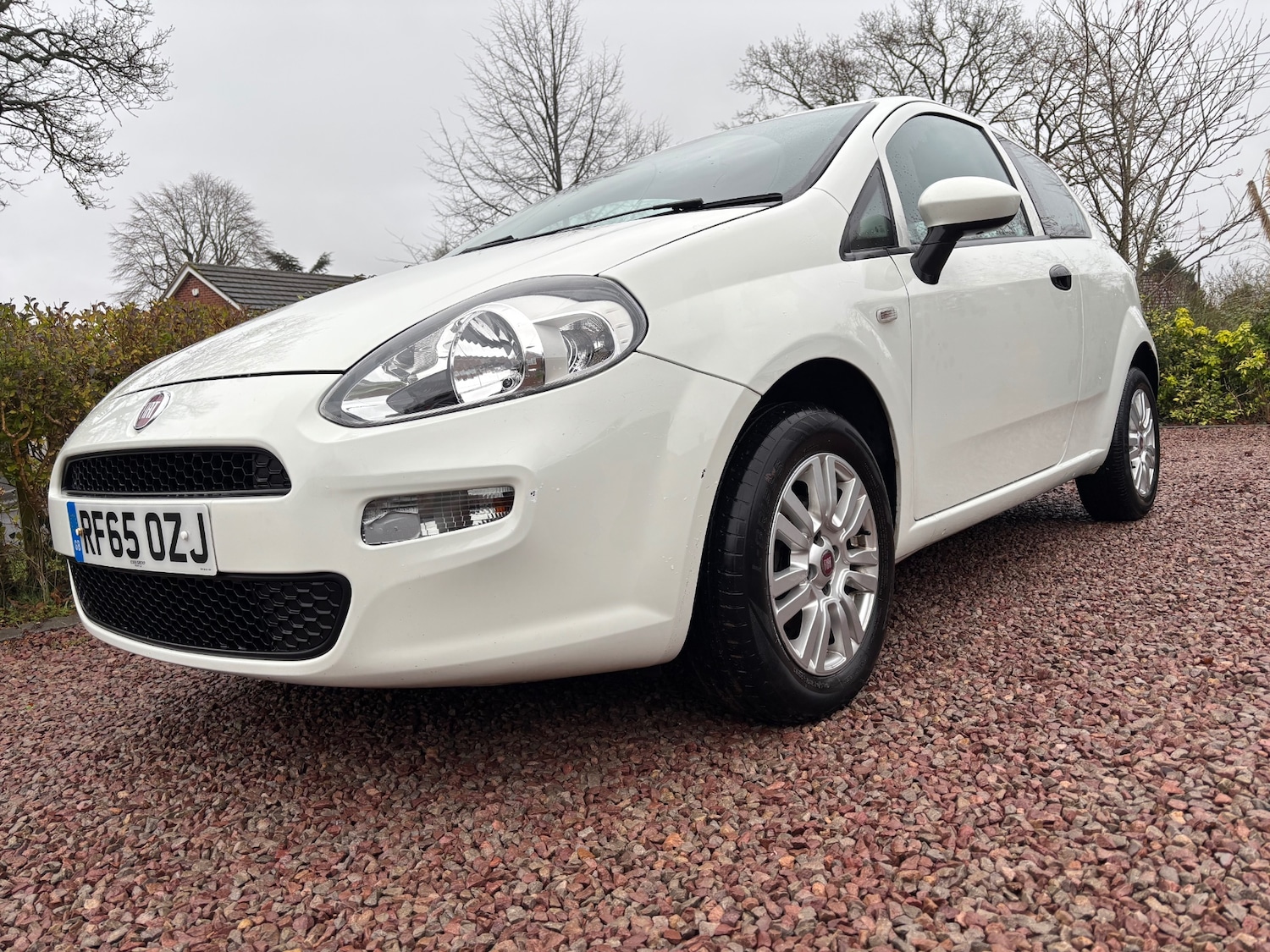 Used Fiat Punto 2015 for sale - 77113358: Photo 9