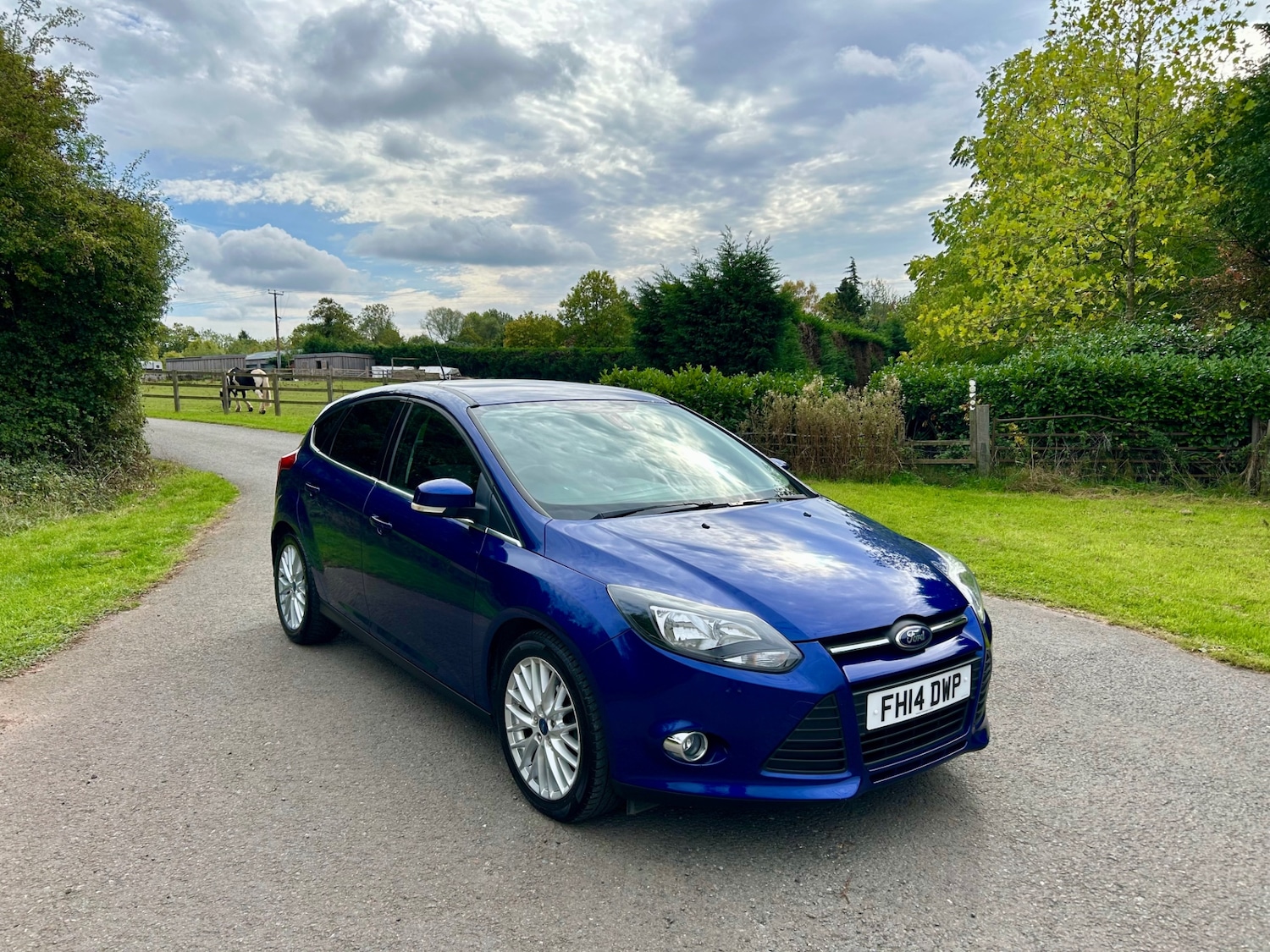 Used Ford Focus 2014 for sale - 76181634: Photo 1
