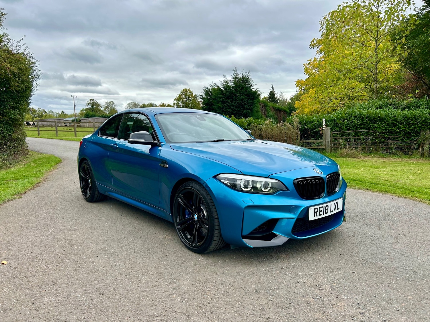 Used BMW M2 2018 for sale - 76380246: Photo 1