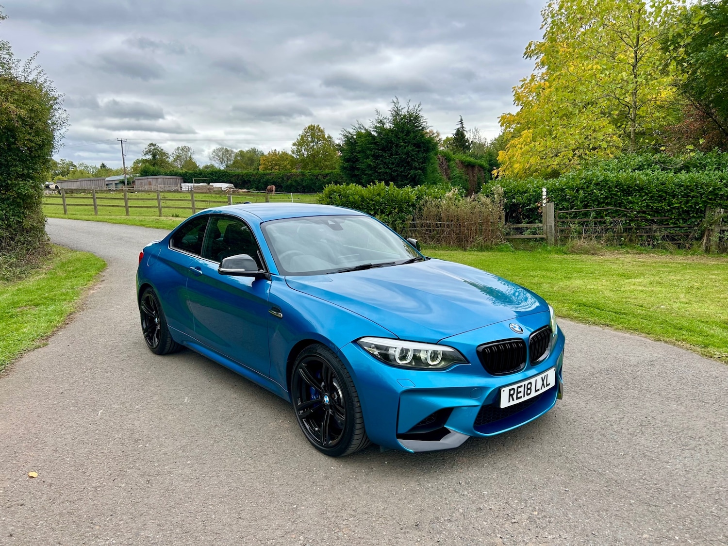 Used BMW M2 2018 for sale - 76380246: Photo 2